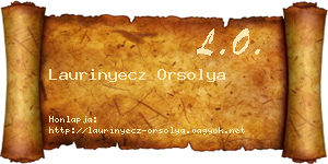 Laurinyecz Orsolya névjegykártya